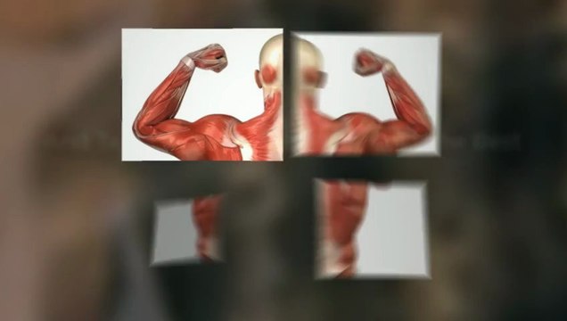 Dependable Orthopedic Surgeon Englewood Knows | (303) 671-2149