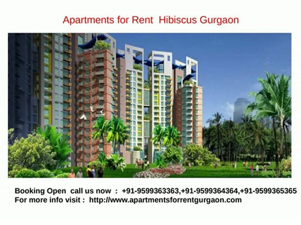 Apartments for Rent  Hibiscus Gurgaon