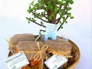 צמחייה מלאכותית