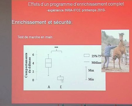 Web tv conférence 2010 - Léa Lansade : Prise en charge du bien-être du cheval, enrichissement l'environnement : dernières recommandations