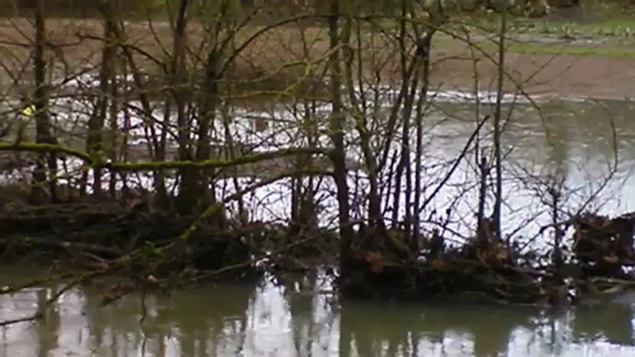 le lambon