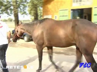 Carlo Bottoni su chiusura ippodromo Tor di Valle Tgsport Retesole
