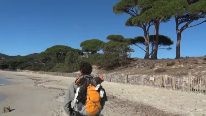 plage de Palombaggia beach