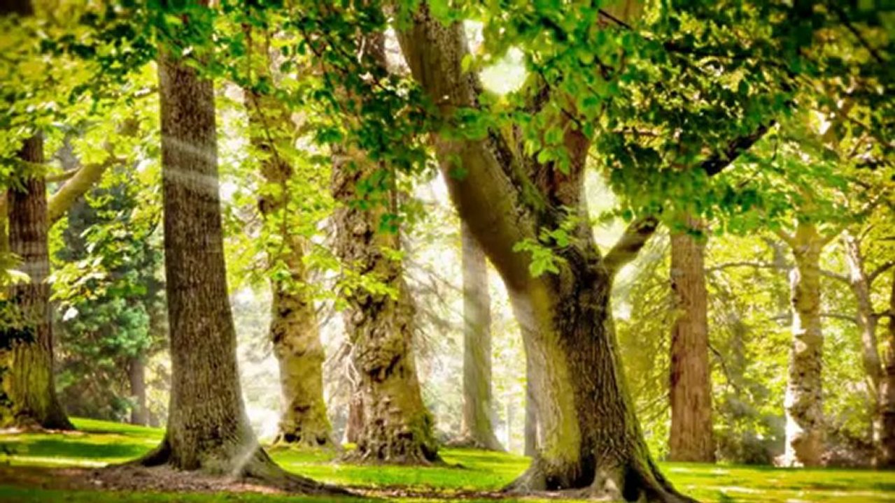 Clarisse - Pointe Noire - Recueil de poésies, 2009 - "Mensonge autorisé" — www.le-livre-cle.fr — © CLE