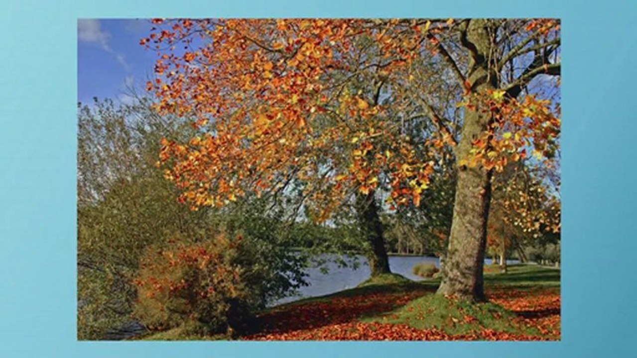 diaporama site de Trévé-show0