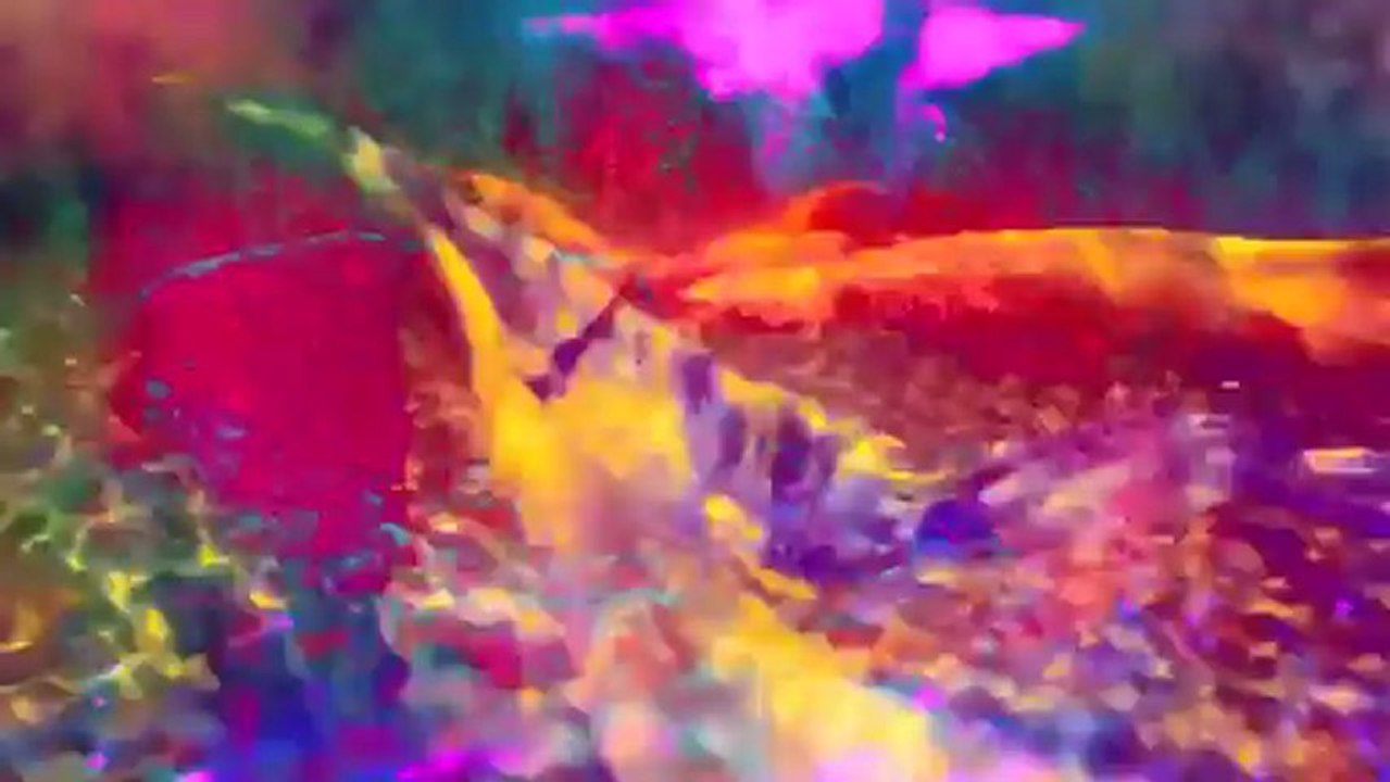 Melody's Echo Chamber-I Follow You