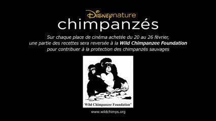 Chimpanzés - Extrait "Déjeuner au bord de l'eau" [VF|HD] [NoPopCorn]
