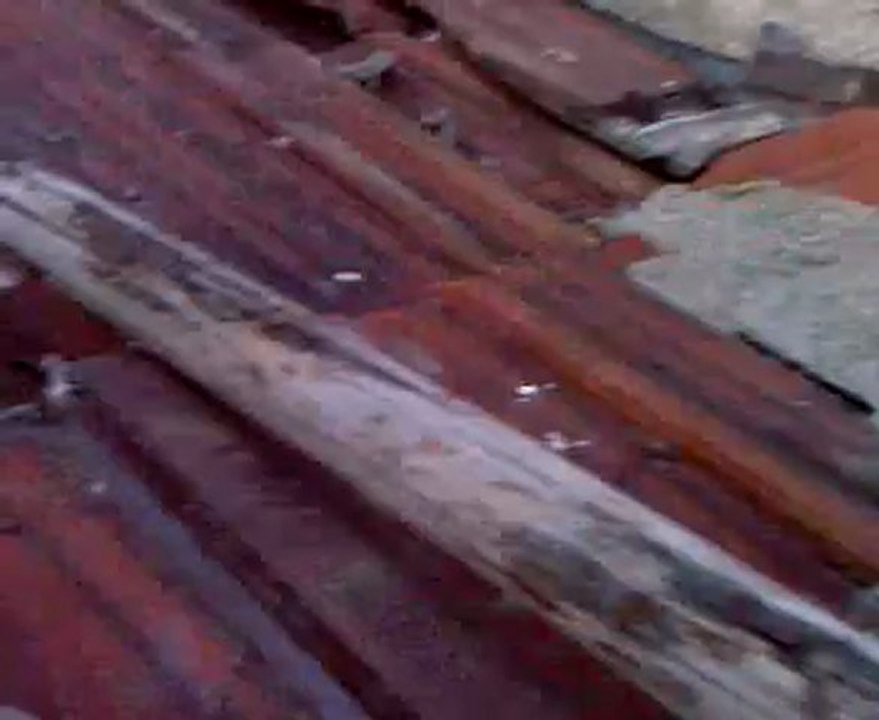 Video-0010