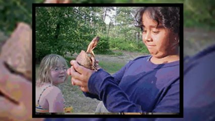 minnesota summer camps