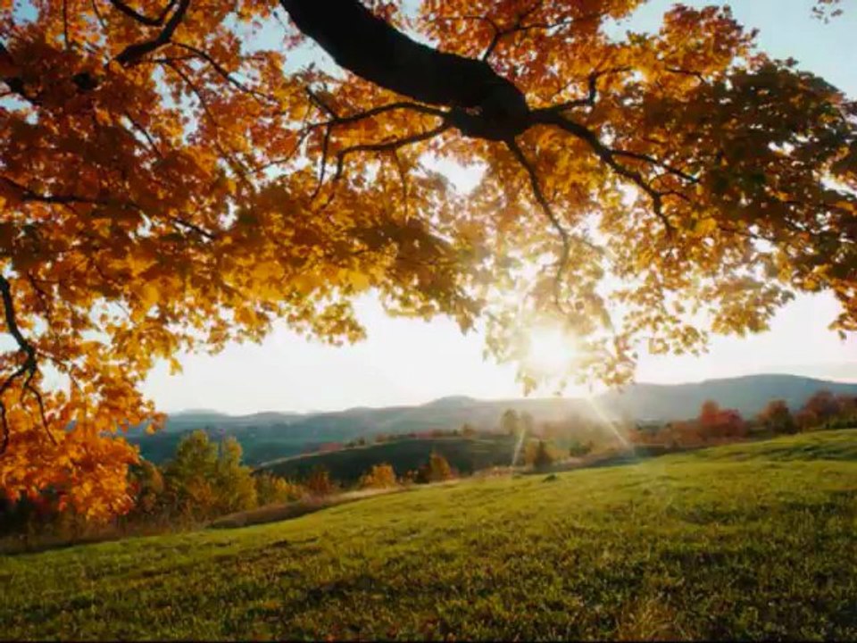 En Damar Şarkı Budur -www.sesliselocan.com