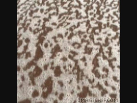 Muslum Gürses - Aldanma cocuksu masum yuzune