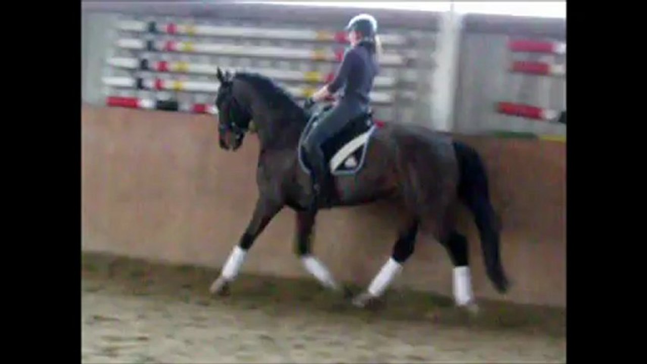 reiten am 31.1.2013