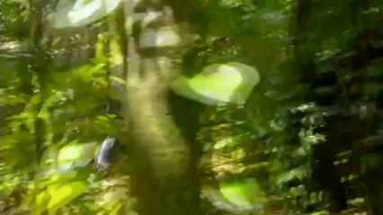 Alice Wegmann - Sozinha Em Minha Companhia ( Malhação)