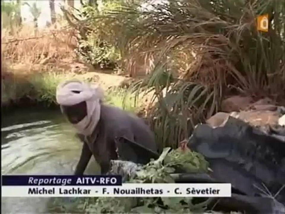 [Nucléaire] Niger politique medicale des exploitants des mines d'uranium, CRIIRAD - JT France O Niger 21.07.09 - 2m37s