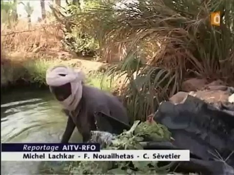 [Nucléaire] Niger politique medicale des exploitants des mines d'uranium, CRIIRAD - JT France O Niger 21.07.09 - 2m37s