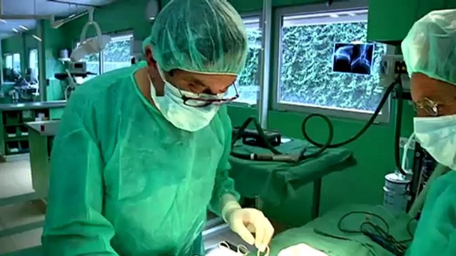 TV3 - Veterinaris - Veterinaris - capítol 87