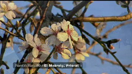 Espai Terra - dijous 31 de gener