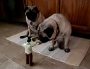 보라카이카지노▤▤▥▥【GmC421·COM 】▥▥▤▤영화카지노