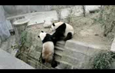 대구카지노▤▤▥▥【GmC421·COM 】▥▥▤▤센토사카지노