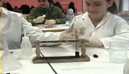 La pile électrochimique (classe de 3ème) Images de M. ajouaoui