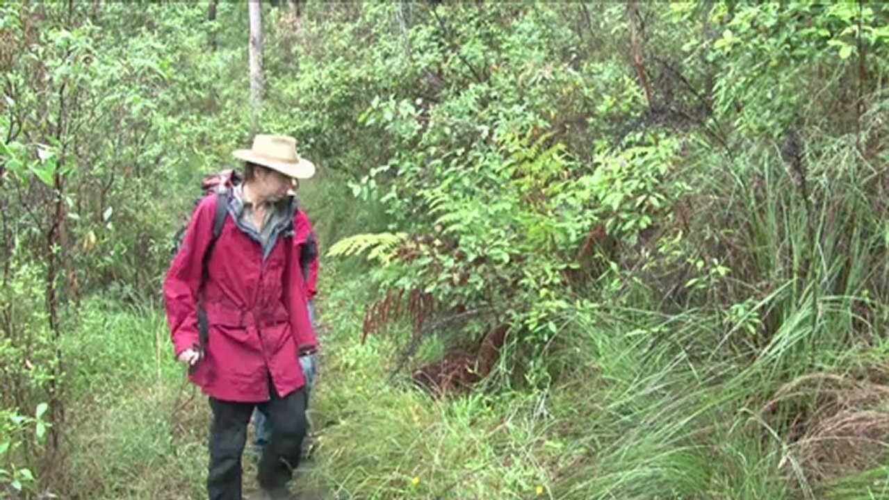 La cuisine aborigène fait recette en Australie