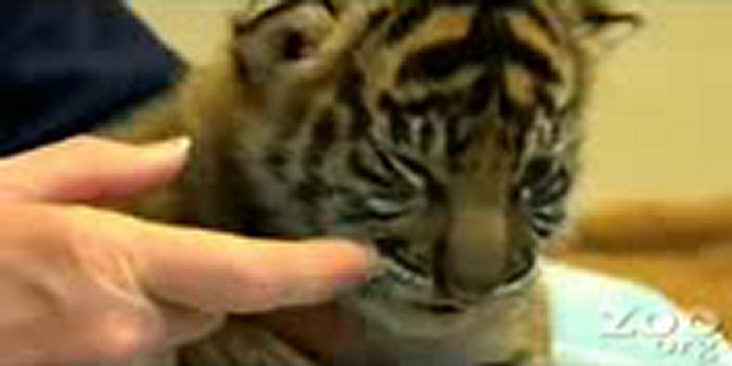 인터넷카지노┳┳〓〓【GmC421·COM 】〓〓┳┳인터넷바카라