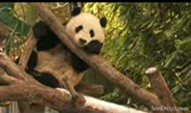 실전바카라┳┳〓〓【GmC421·COM 】〓〓┳┳온라인바카라