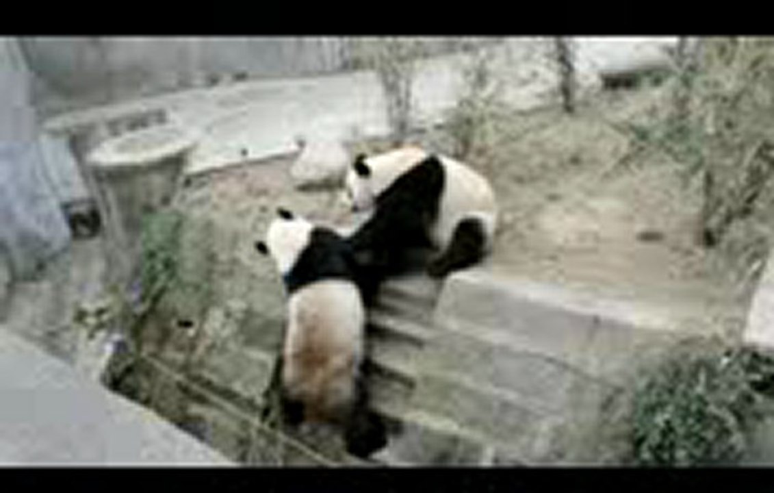 바카라싸이트┳┳〓〓【GmC421·COM 】〓〓┳┳카지노싸이트