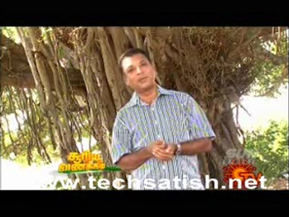 Saptha Nimidangal