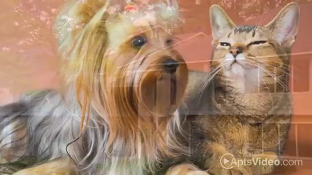 Marquis Estates Apartments in Norcross, GA - ForRent.com