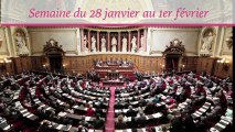 Sénat.Hebdo, semaine du 28 janvier au 1er février 2013