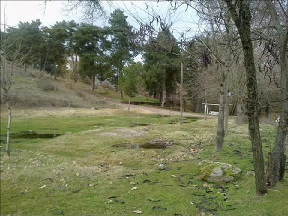 Adaorenvideosu