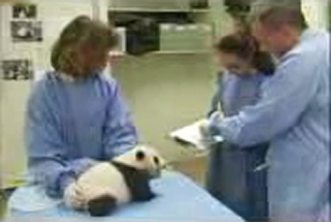 스카이카지노▤▤▥▥【GmC421·COM 】▥▥▤▤애플카지노