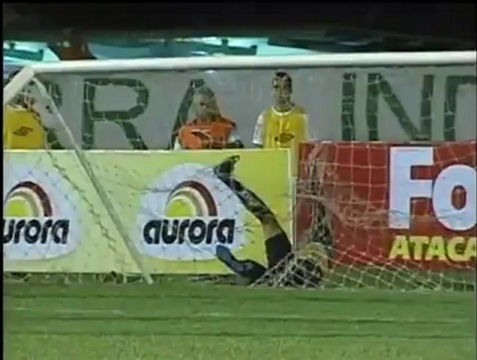 Un défenseur détruit ses propres cages au Brésil