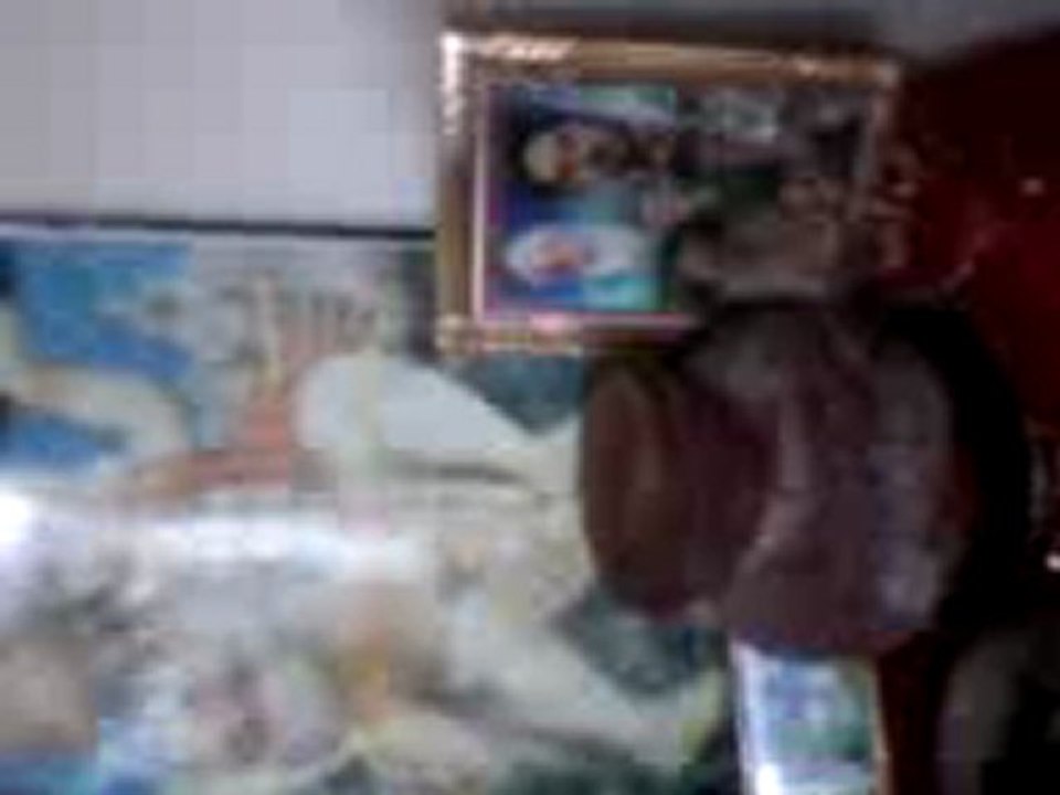 %% love problem solution astrologer baba ji +91 9592358265