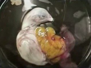 facebook.com/Haddini.Bileceksin.Yobaz  &  facebook/Atatürk düşmanlarını teşhir ediyoruz