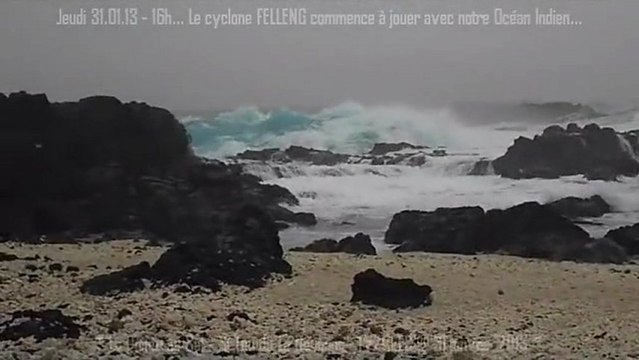 FELLENG à la Pointe au Sel - St Leu - 31012013