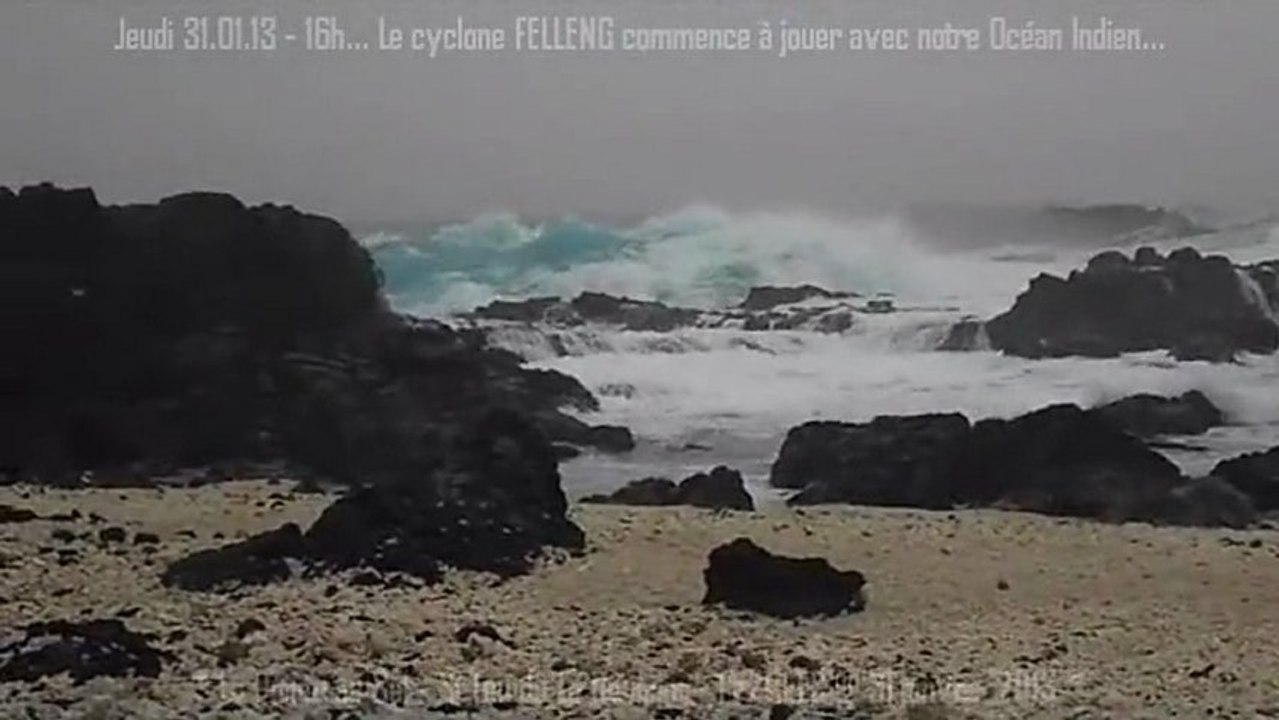 FELLENG à la Pointe au Sel - St Leu - 31012013