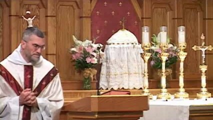 Feb 01 - Homily: Steadfast Faith