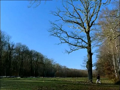 NOIR DESIR - LOST - FabsoloVision