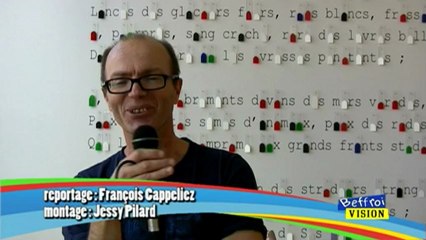 Rencontre avec Eric Langer au musée Matisse du Cateau