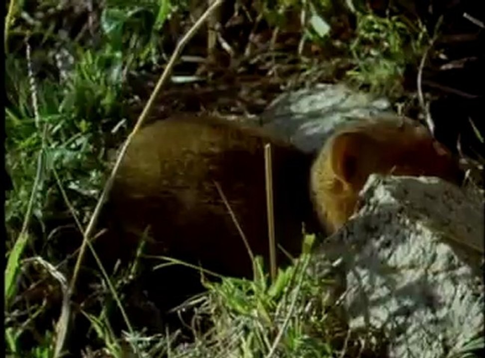 La vida a prueba (09) Amigos y rivales