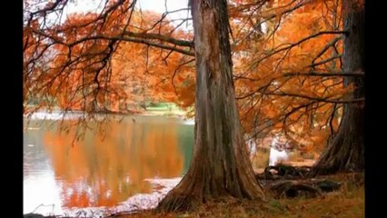 Fatih Kısaparmak    -  Hayat Bana Yalan Söyledi