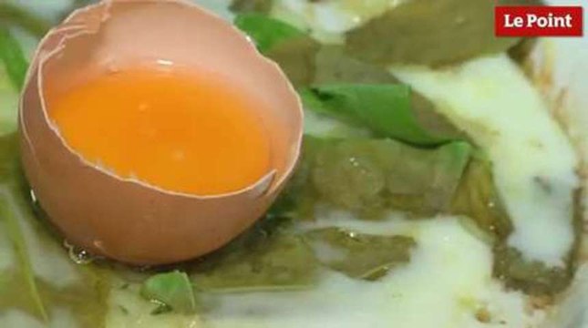 L'oeuf s'occupe de ses oignons !