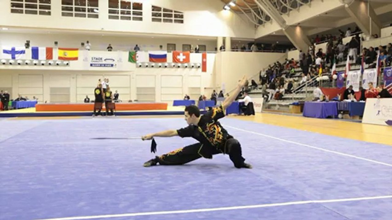 Open de France de Wushu Sportif 2012 / Samy Benferlou - daoshu masculin seniors