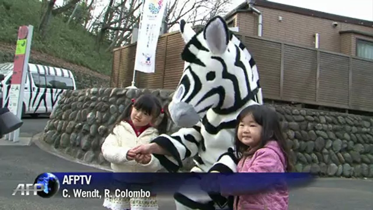 Fuga das zebras