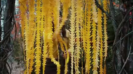 Timothy Green'in Sıradışı Yaşamı - Beyazperde