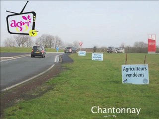 JT agri85TV du vendredi 1er février 2013