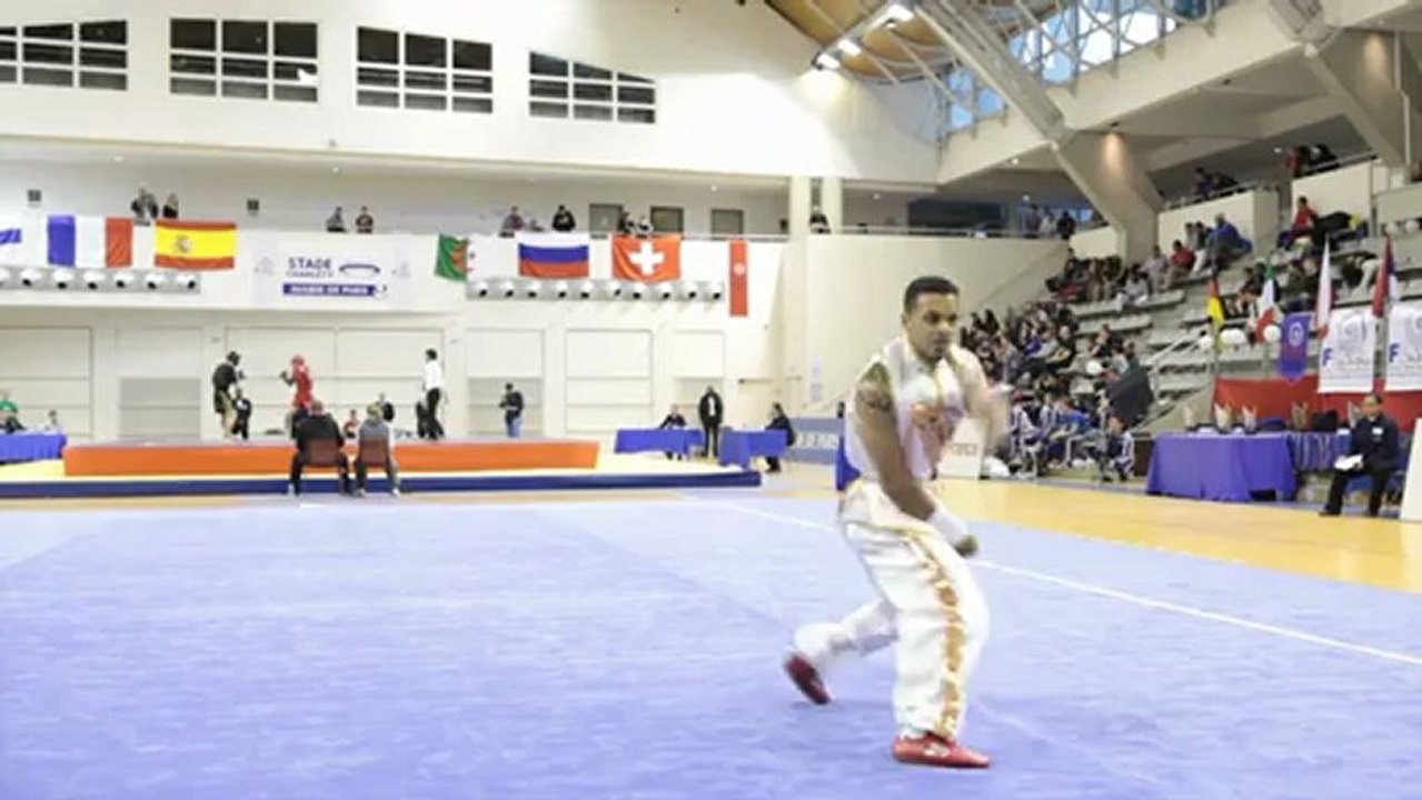 Open de France de Wushu Sportif 2012 / Jonathan Millien - nanquan masculin seniors