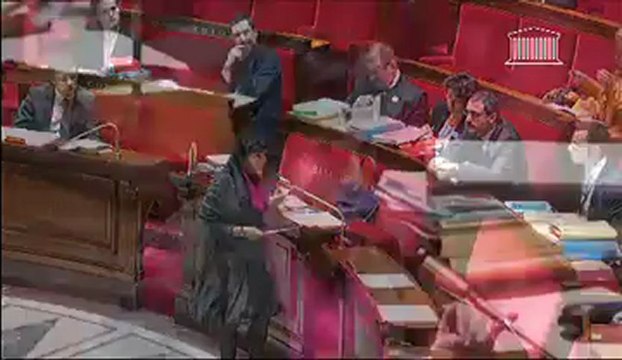 Réponse de Dominique Bertinotti lors de l'examen des amendements : Débat mariage et adoption pour tous - 1er février 2013